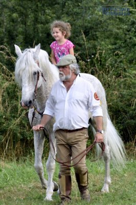 I nostri amici animali